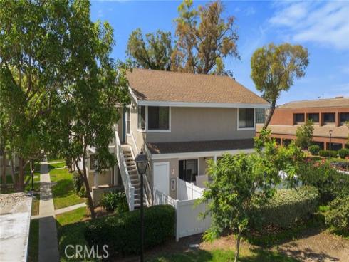 69  Tarocco  , Irvine, CA