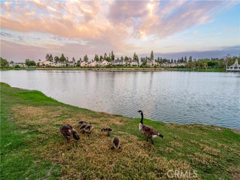 11  Fallingstar  , Irvine, CA