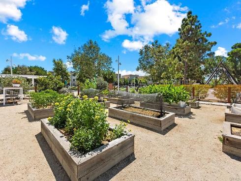 1131  Cadence  , Irvine, CA