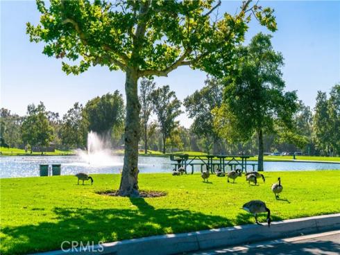 18 Solana , Irvine, CA