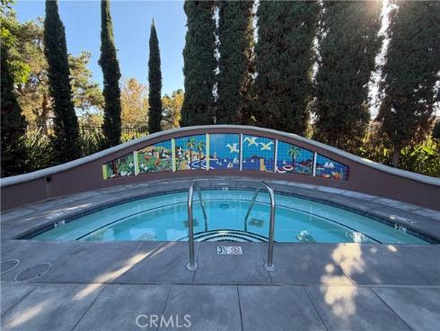 26  Santa Catalina Aisle  , Irvine, CA