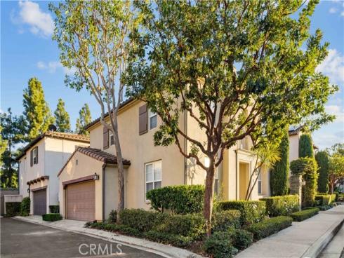 54  Night Bloom  , Irvine, CA