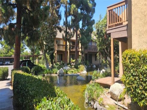 400 Orange Blossom 127