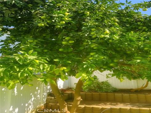 14112 Picasso Court, Irvine, CA