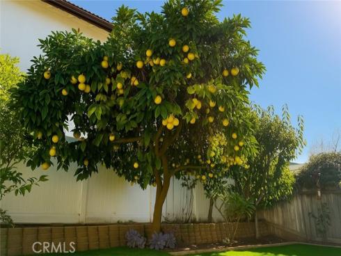 14112 Picasso Court, Irvine, CA