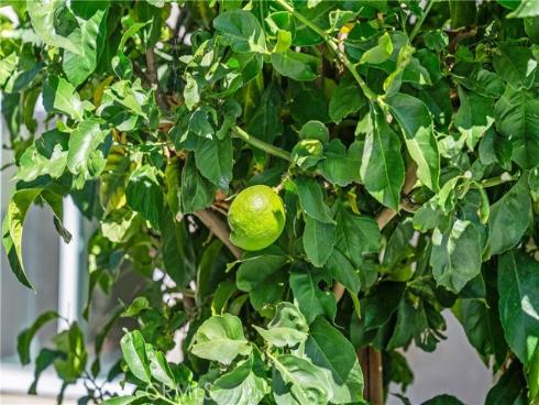 30  Entrada  , Irvine, CA