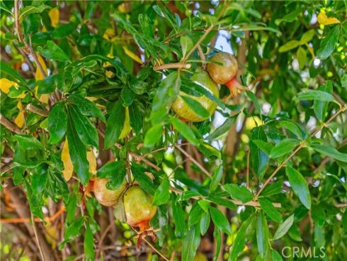 30  Entrada  , Irvine, CA