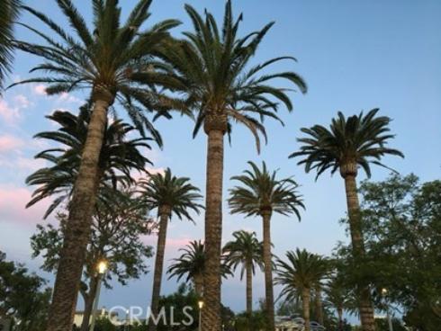 129 Cadence , Irvine, CA