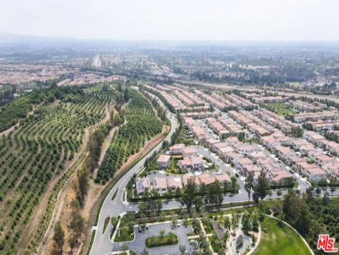 55 Suede , Irvine, CA