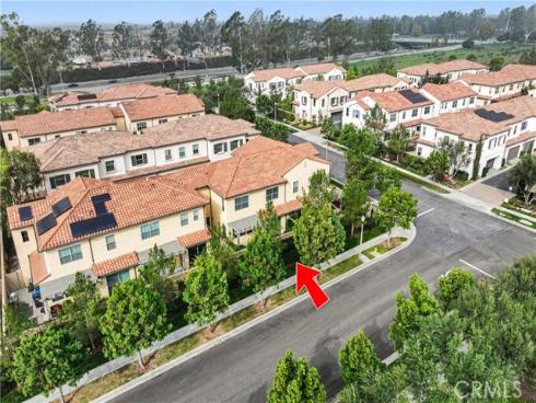 127 Annuals , Irvine, CA