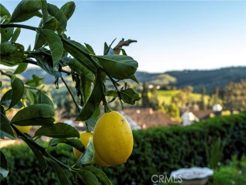 20  Southern Wood  , Irvine, CA