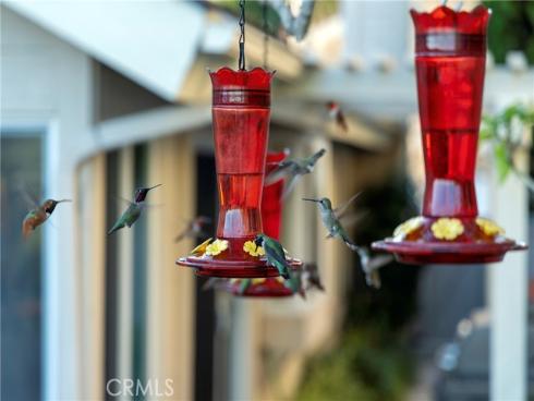 20  Southern Wood  , Irvine, CA