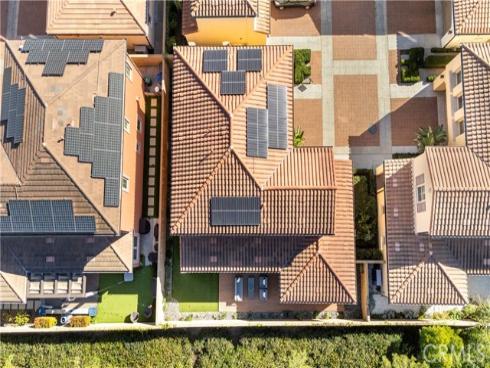 55  Field Poppy  , Irvine, CA