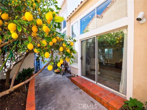 19  Las Cruces  , Irvine, CA