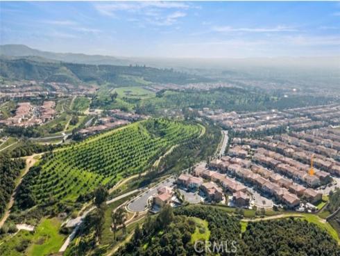 66  Poncho  , Irvine, CA