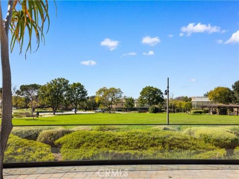 117  Laceflower  , Irvine, CA