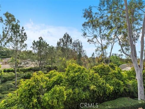 1  Rainbow Falls  , Irvine, CA