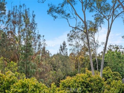 1  Rainbow Falls  , Irvine, CA