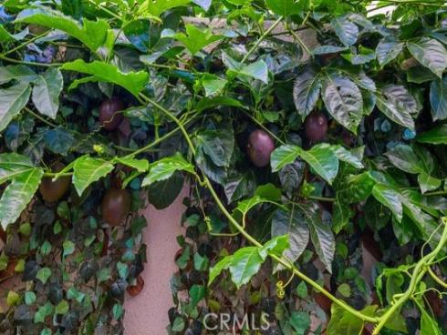 165  Frame  , Irvine, CA