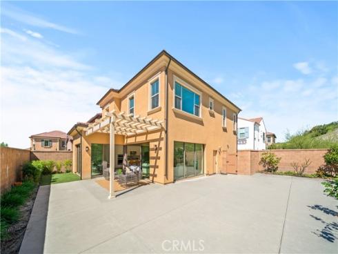 128  Spotted Quail  , Irvine, CA