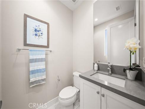 128  Spotted Quail  , Irvine, CA