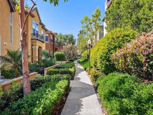 29 Roseville