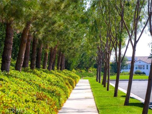 117  Petunia  , Irvine, CA