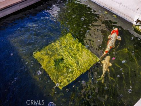 51  Hartman  , Irvine, CA