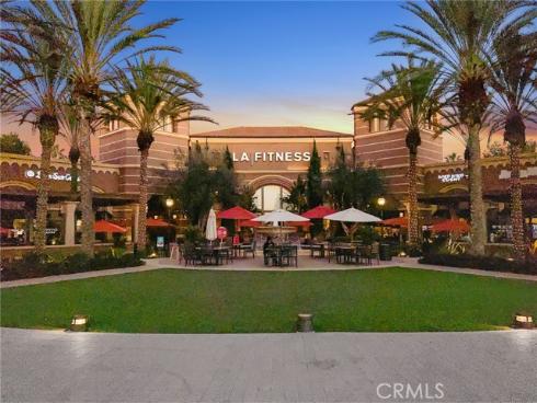 412  Flycatcher  , Irvine, CA
