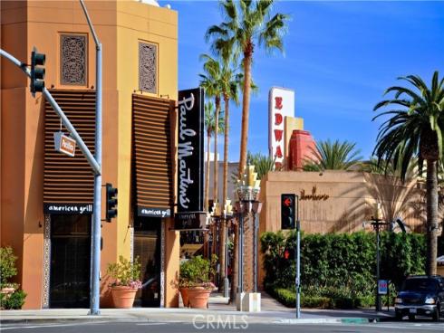 412  Flycatcher  , Irvine, CA