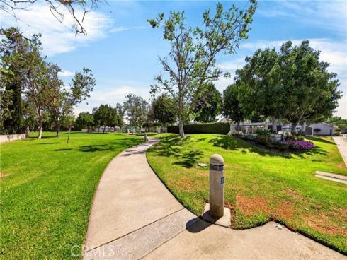 17  Clove Blossom  , Irvine, CA