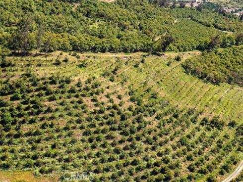 106  Coldwater  , Irvine, CA