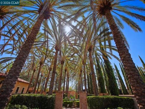 217 Mantle , Irvine, CA
