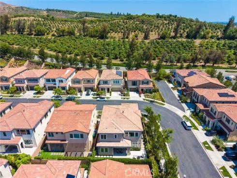 63  Pedigree  , Irvine, CA
