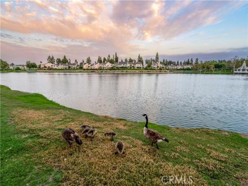 492 E Yale Loop , Irvine, CA