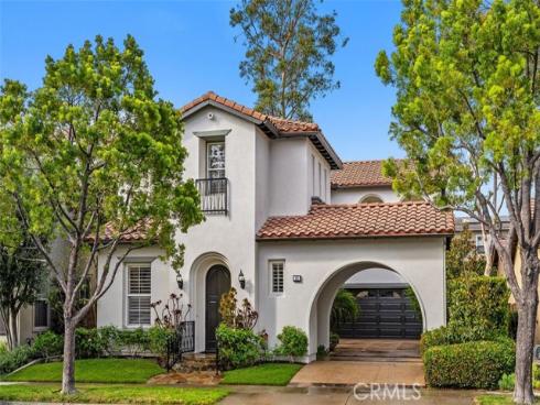 25 Carpenteria