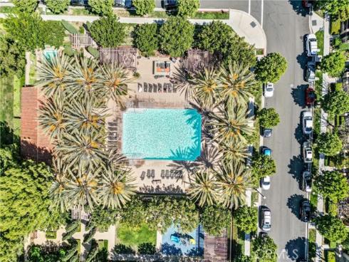 46 New Season , Irvine, CA