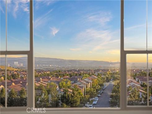 137 Trumpet Flower , Irvine, CA