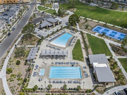 427  Flycatcher  , Irvine, CA
