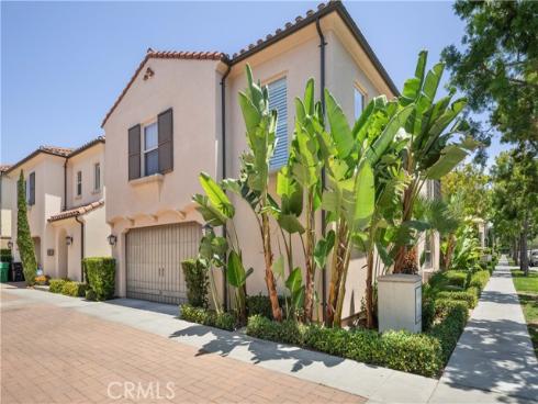 81 Cactus Flower , Irvine, CA