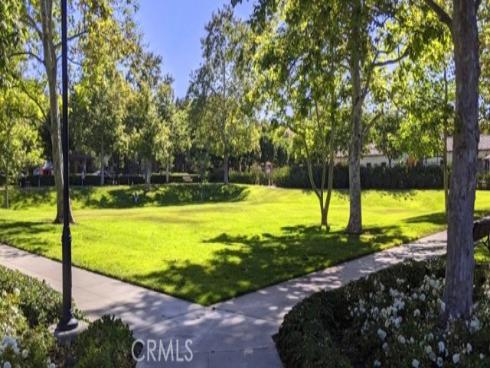 101  Tall Oak  , Irvine, CA