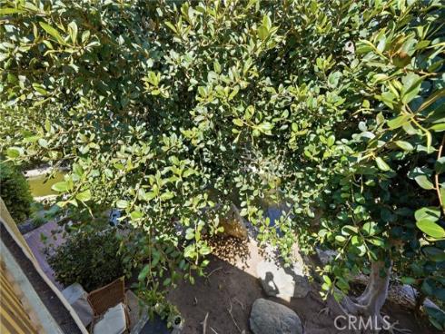 127  Lemon  , Irvine, CA