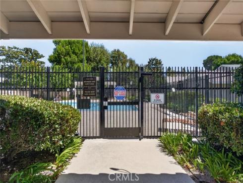 5 Tiger , Irvine, CA