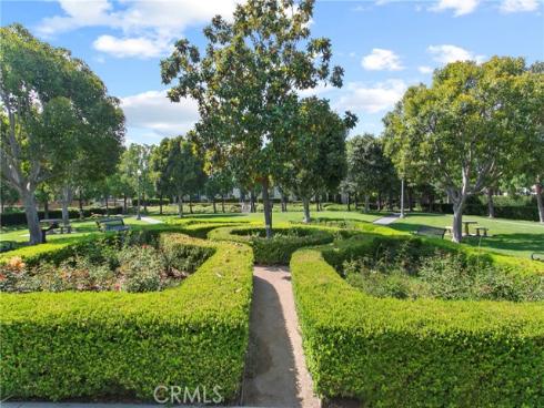 31 Dinuba , Irvine, CA