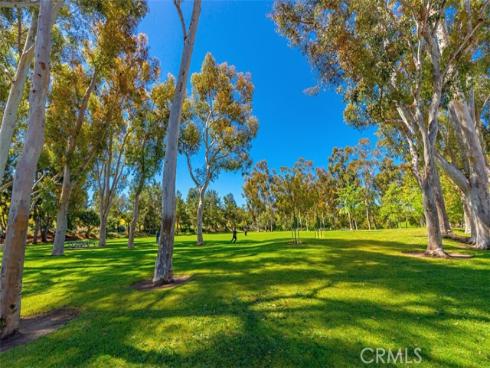 40 Morning View , Irvine, CA