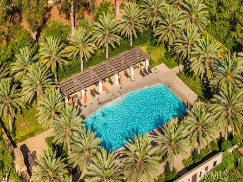 52 English Saddle , Irvine, CA
