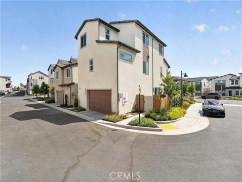 415  Flycatcher  , Irvine, CA