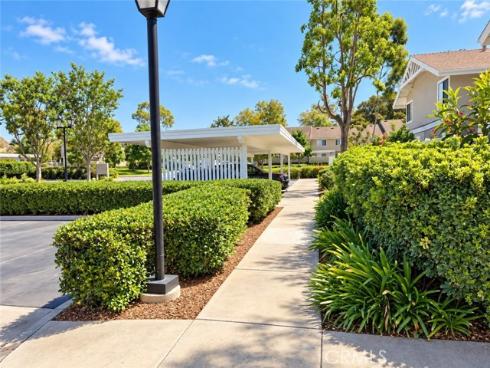 171  Tarocco  , Irvine, CA