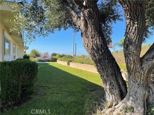 220  Olinda   Avenue, La Habra, CA