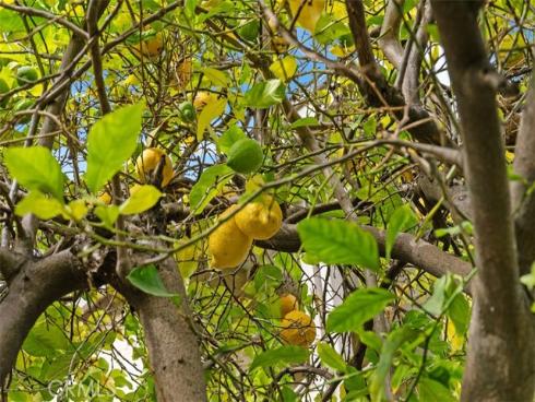 1000  Dolores  , La Habra, CA